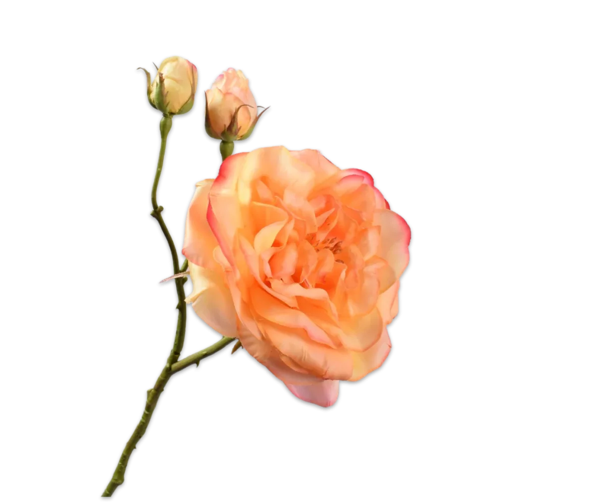 Rose Zweig gelb 59 cm – Bild 2