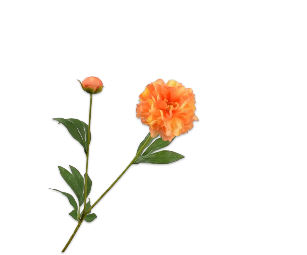 Pfingstrose Zweig orange 65 cm – Bild 2